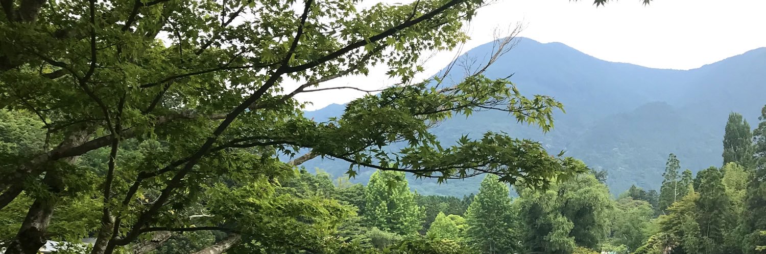 pokopun's profile banner image