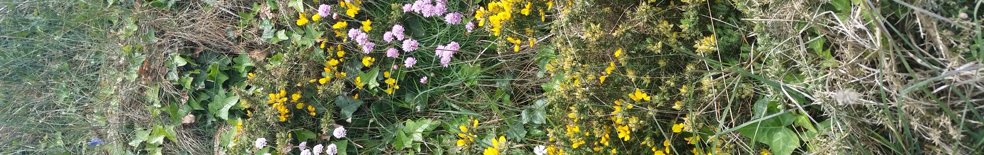 Nadiège FORT banner