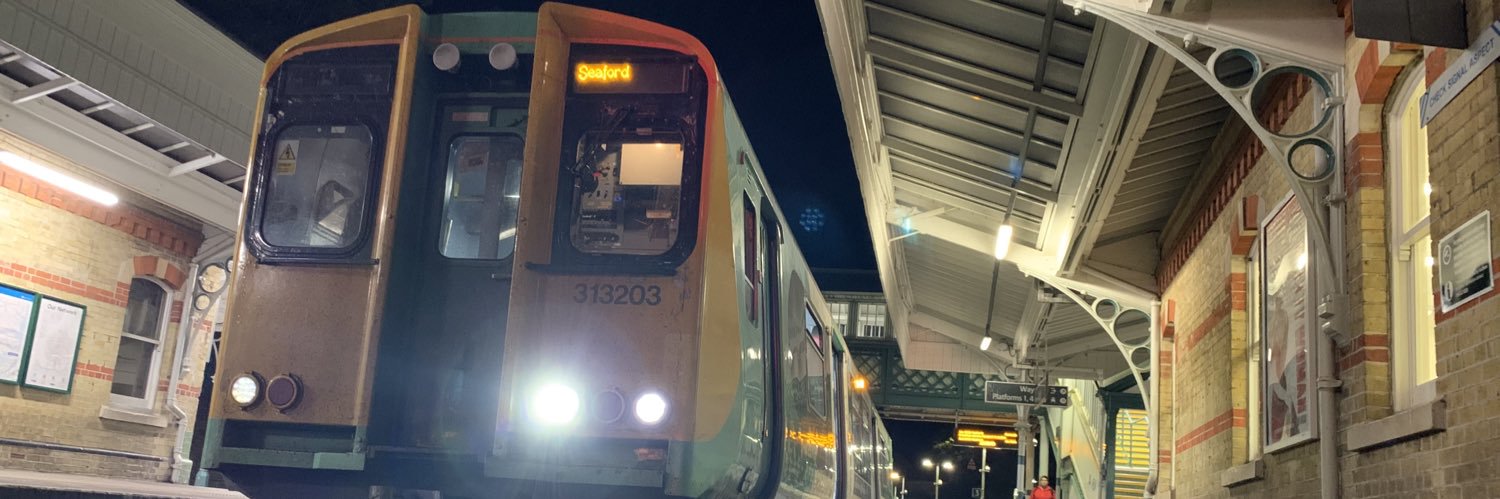 LudwigTails || ALL BLESS TURTWIG banner