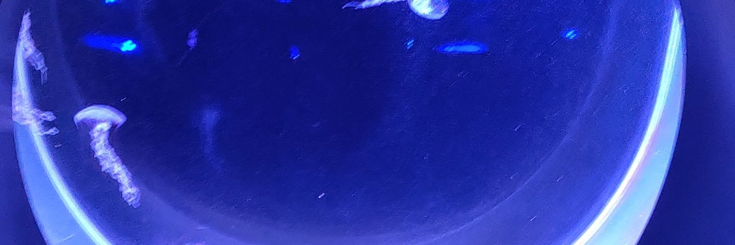SBX_91's profile banner image