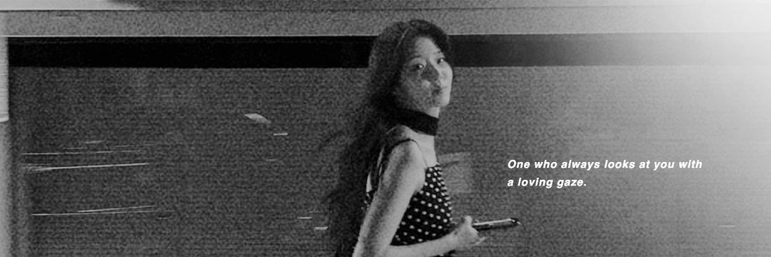 Louis banner