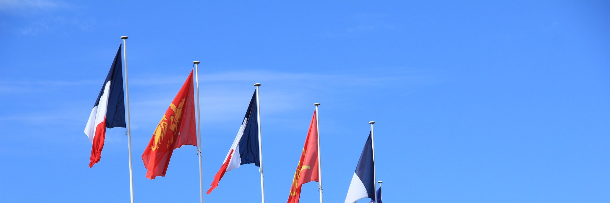 dimitribruyneel's profile banner image