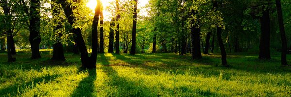 OdracirPV Profile Banner