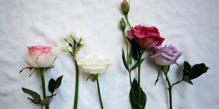 _alwalid_'s profile banner image