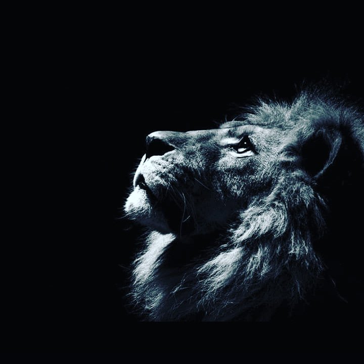 Mendoza Alejandro banner