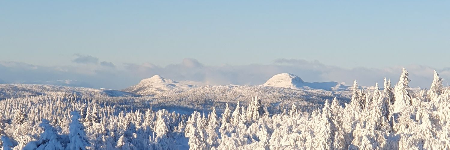 RuneBjerke's profile banner image