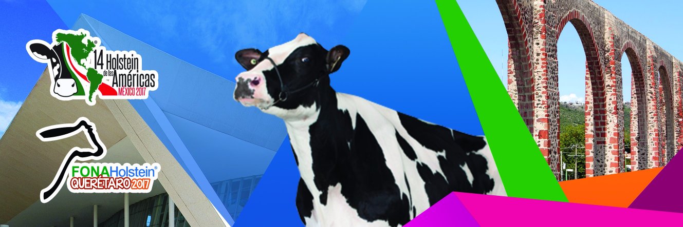 Holstein Américas banner