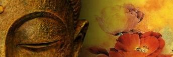 Sunit Singhania banner