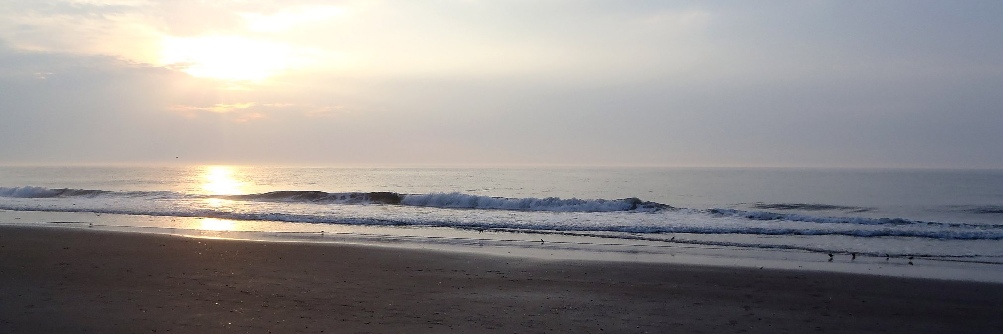 ChincoteagueOsv's profile banner image