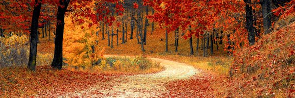 autumnfelines1 Profile Banner