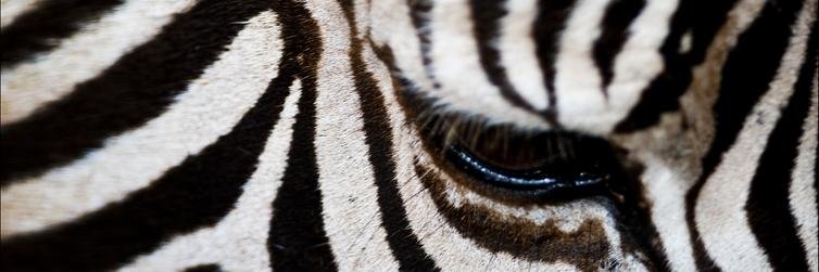 azaharasinmas's profile banner image