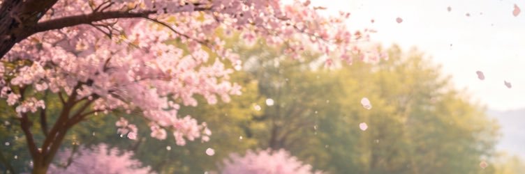 Mareya Demetra Steinbacher banner