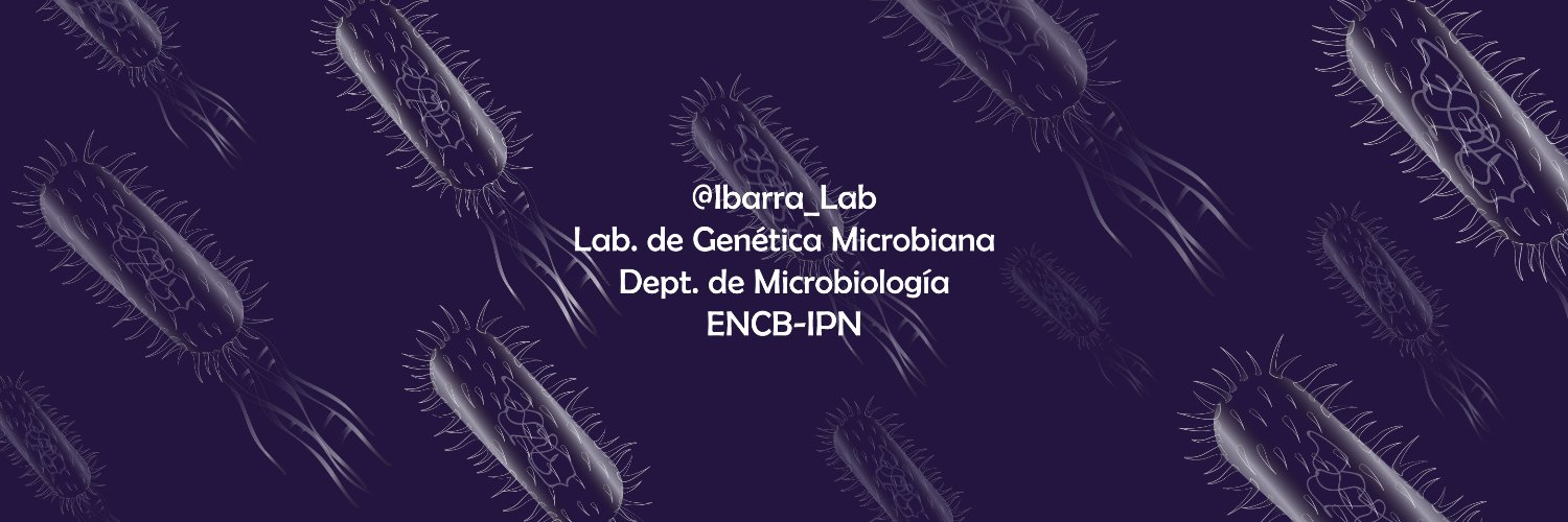 J. Antonio Ibarra banner