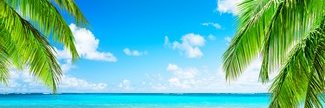CallmeMssT's profile banner image