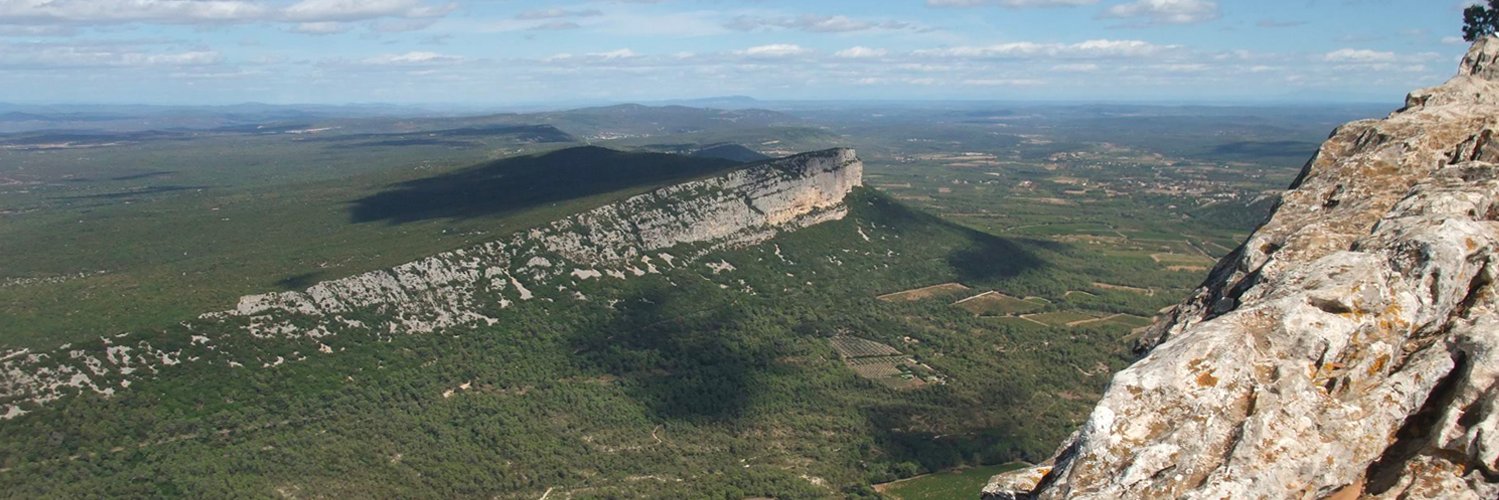 tvlanguedoc's profile banner image