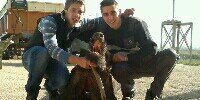 Desiperez96's profile banner image