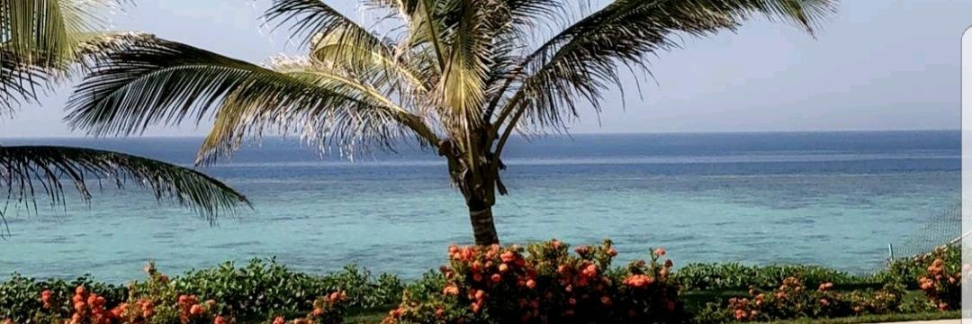 najla_bm's profile banner image