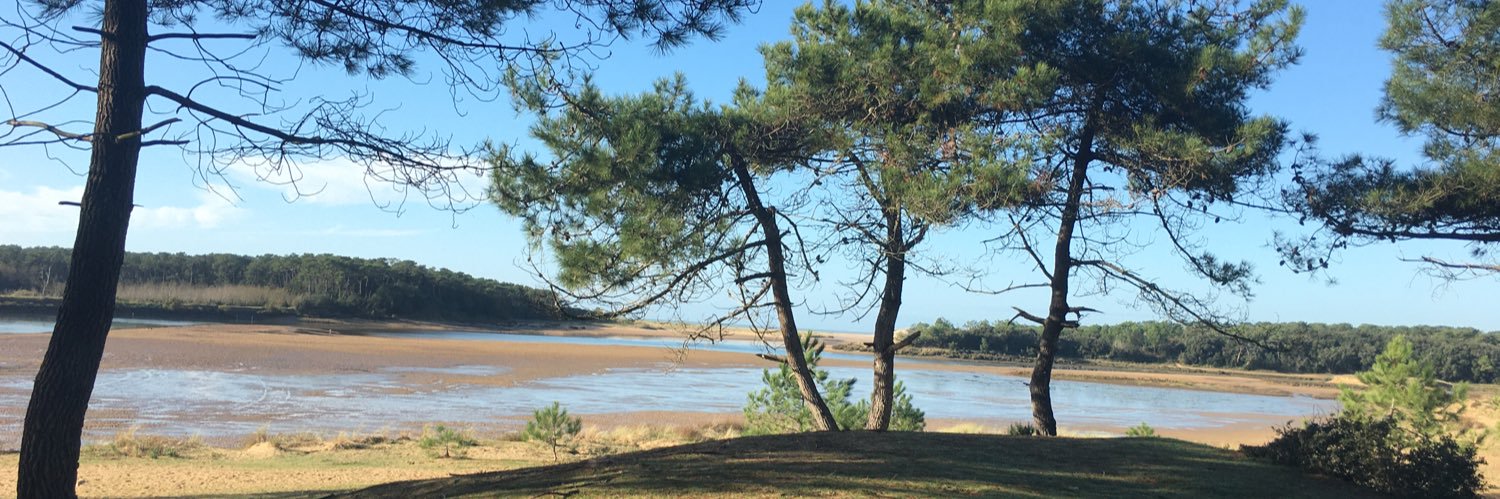 Patricia Bistac banner