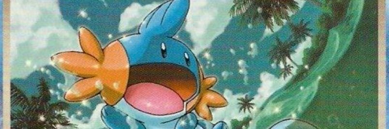 Mudkip banner