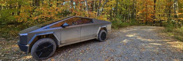 02_leopard Profile Banner