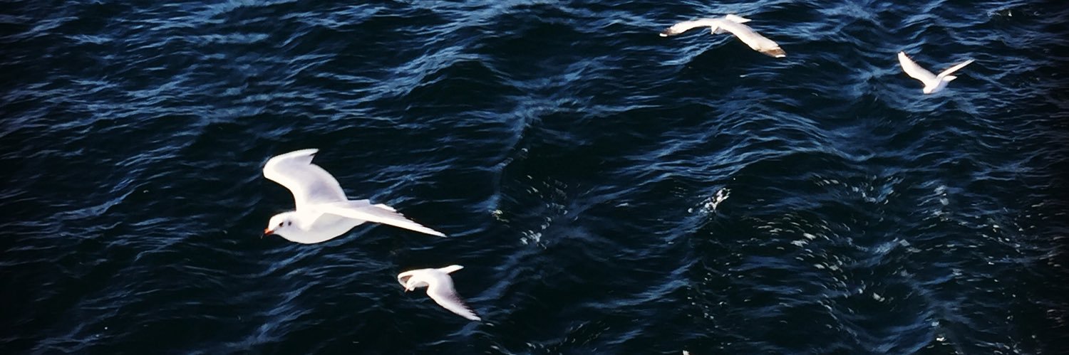 Sinan Alçın banner