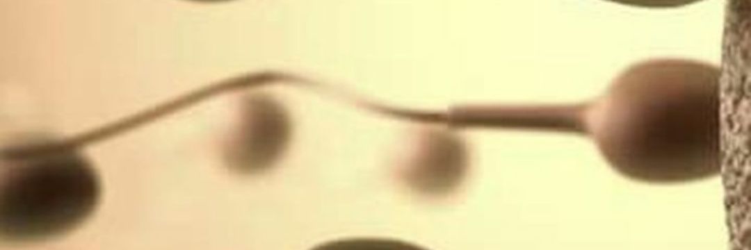 Mosesjonatan's profile banner image