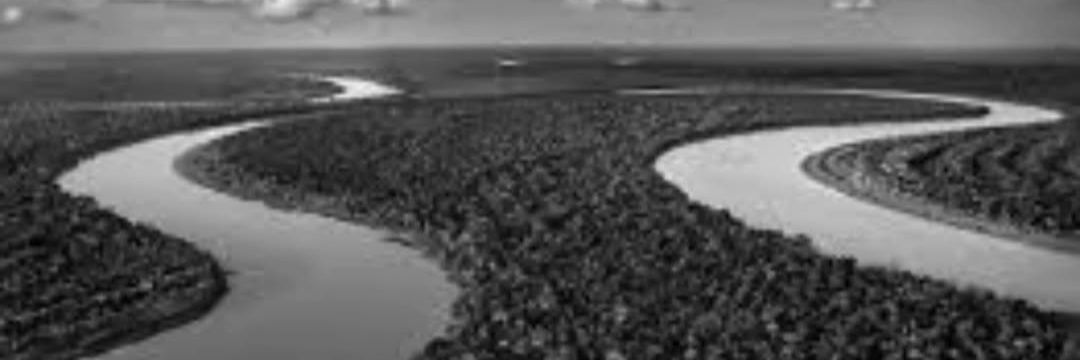 Renata Prates banner