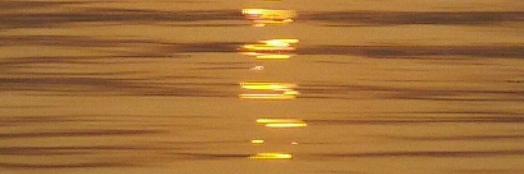 genan661's profile banner image
