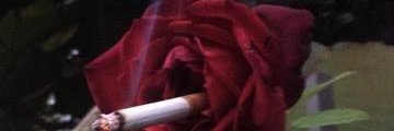 💚Anto banner