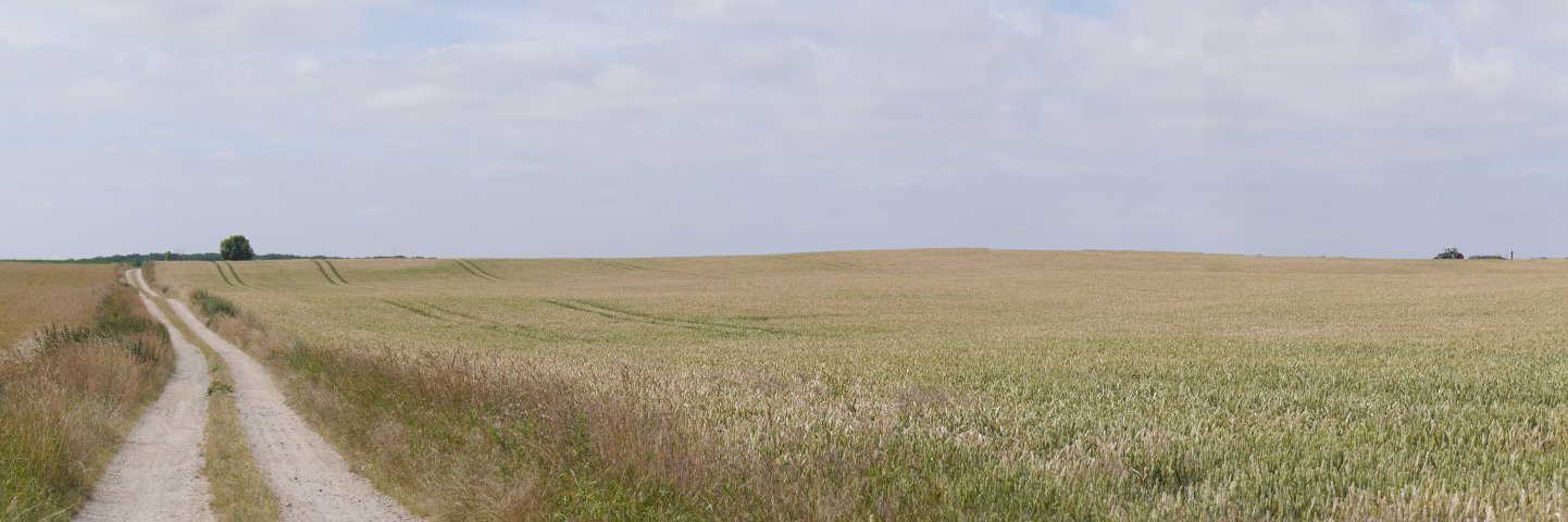 HedwigSeipel's profile banner image