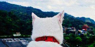 oktianirf's profile banner image