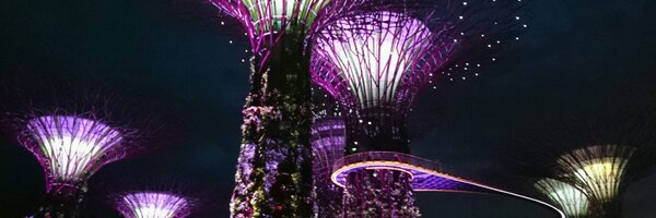 randy_wn Profile Banner