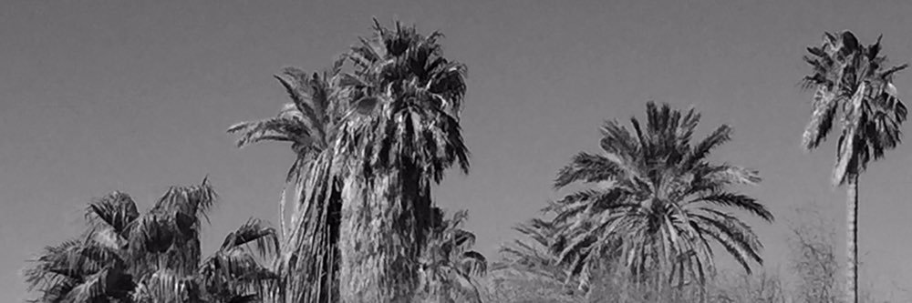 eddymzah's profile banner image