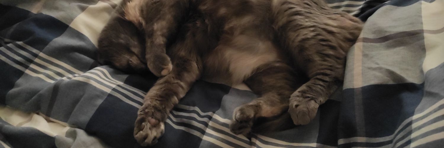 LynxLRys's profile banner image