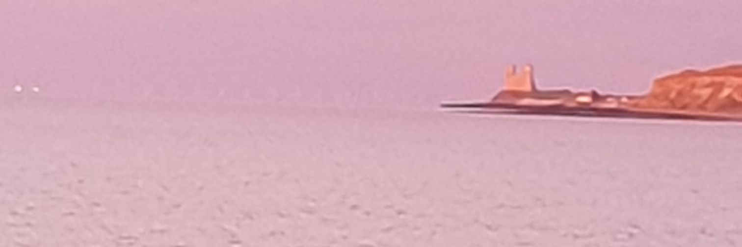 Rachel Carnac FRSA banner