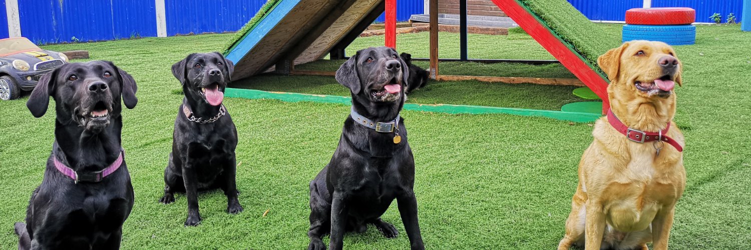 Rose Cottage Doggy Day Care🐾 banner