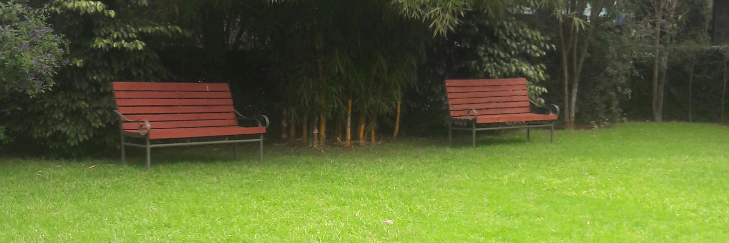 Florence Kemboi banner