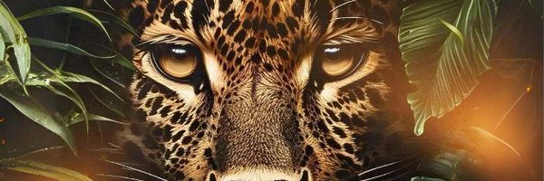 WildLimits Profile Banner