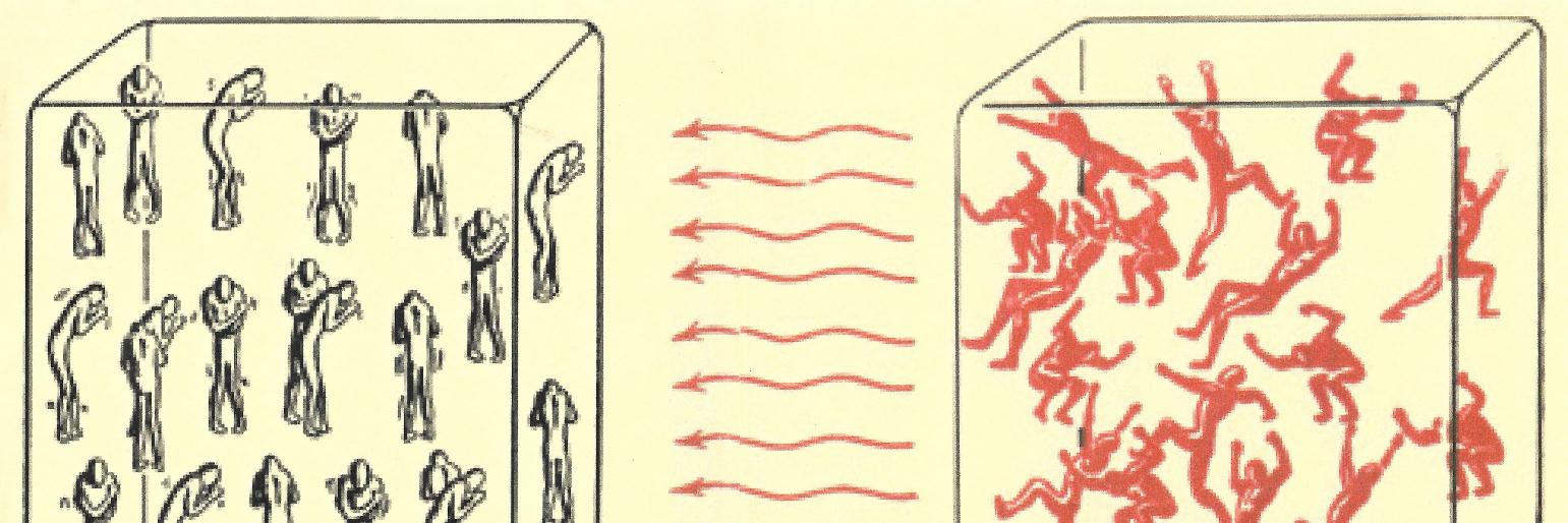 Max Puelma Touzel banner