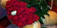 _91_aliyeva_'s profile banner image