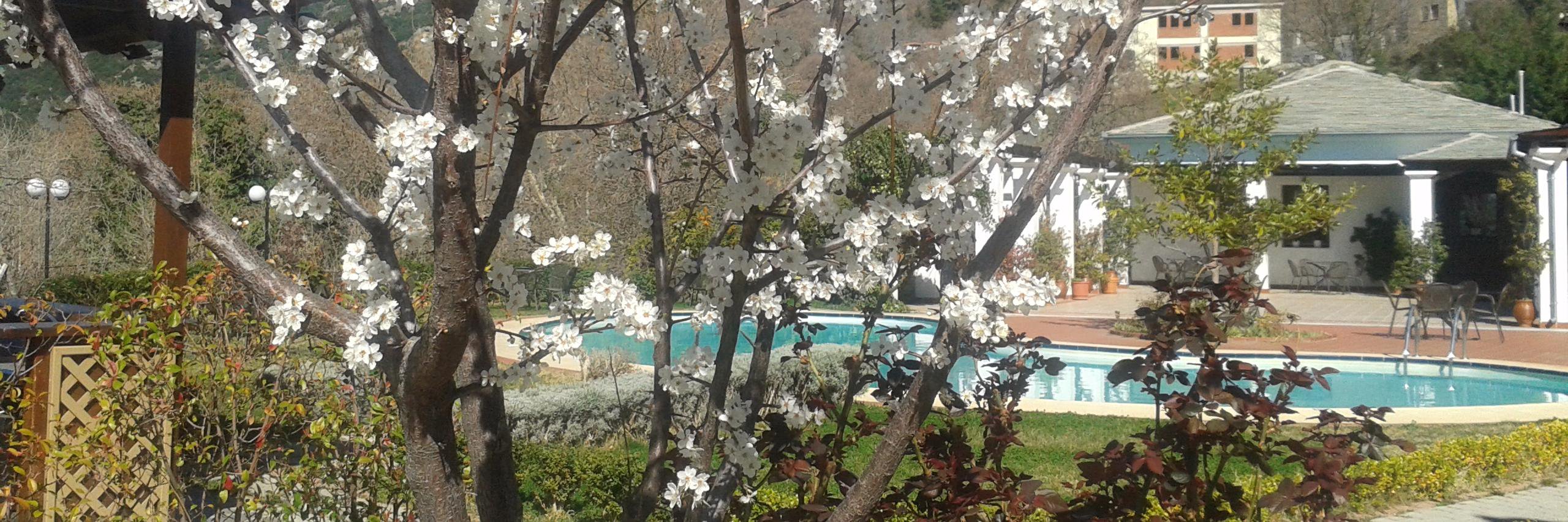 Pelion Resort Hotel banner