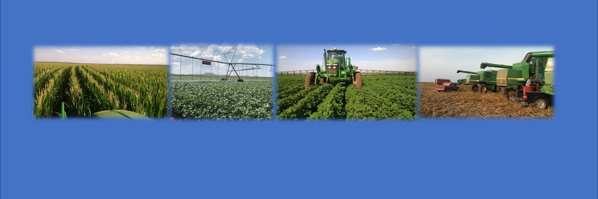 Raúl Félix De León banner