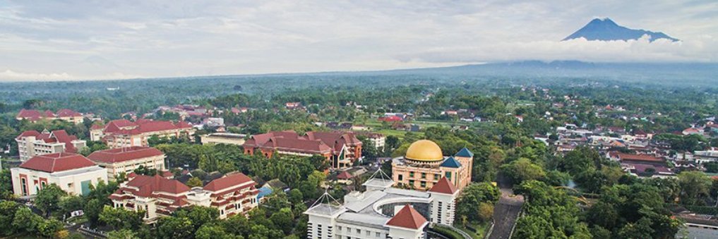 dppmuii banner