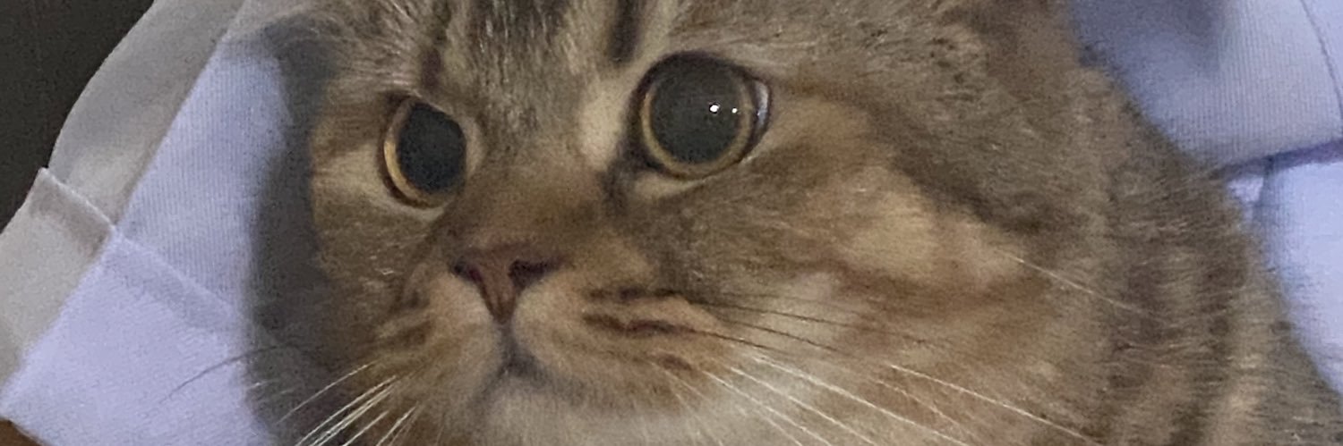 Belle_AJ's profile banner image