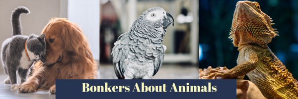 BonkersAboutAnimals Profile Banner