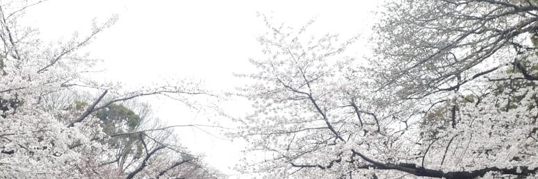Iqbum's profile banner image