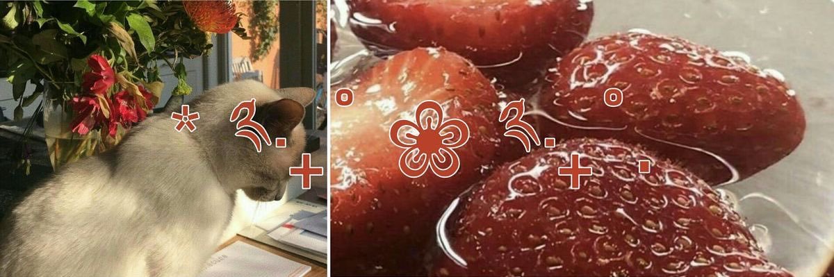 ★ nAbi 💭🏄🏻‍♀️ banner