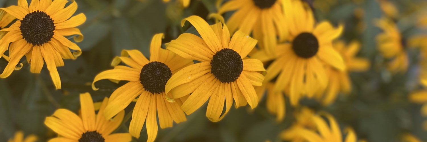 Dr. Briana Snyder banner