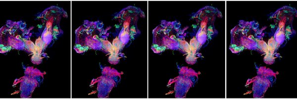 tracysface Profile Banner