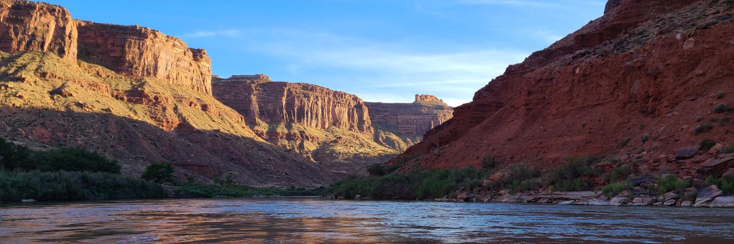 Travis B. Curtice banner